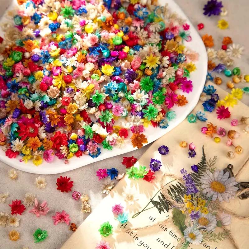 Bunga warna-warni campuran unt - Resin Art Design ulasan dan harga